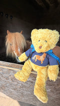 teddy wearing a personalised embroidered t-shirt. 
